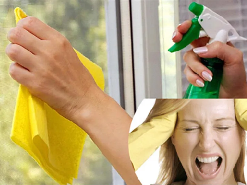 3-in-1 Spray, Clean & Dry Glass Cleaning Tool