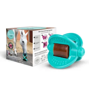 Bizzy Ball Bizzy Ball