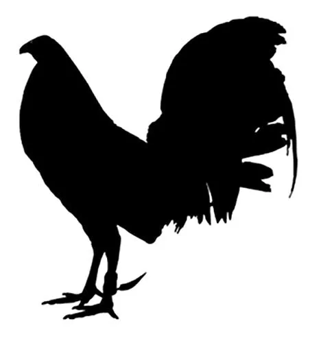 Chicken Life Vinyl Decal Car Sticker with Rooster - 5.2" x 5.71"