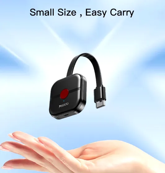 Display Dongle Adapter