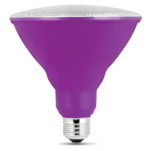 Purple PAR38 Non-Dimmable LED Reflector Light Bulb Purple PAR38 Non-Dimmable LED Reflector Light Bulb
