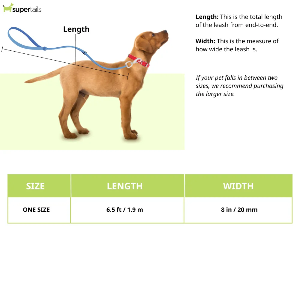 Ruffwear Flagline Leash for Dogs (Lichen Green)